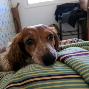 Meet your Posher, Mark